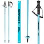 Палки горнолыжные Head WORLDCUP SL speed blue - 130 см